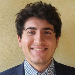Luca Codarin