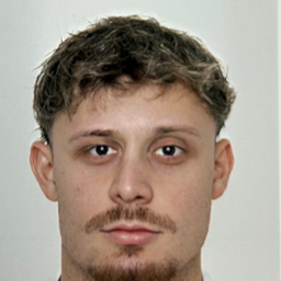 Dominik Wolf