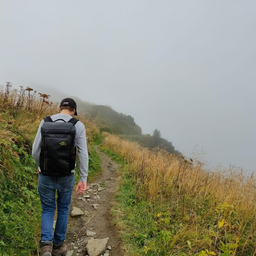 Jannis Gebhardt Jannis Gebhardt's profile picture