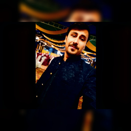 Syed kumail Hussain Rizvi