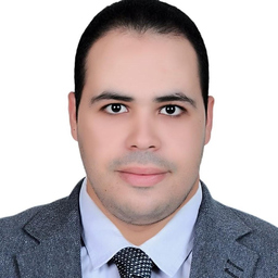 alaa saleh