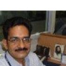 Satyendra N Pandey