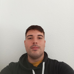 Diego Fabrizio  Caminos's profile picture