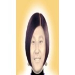 Prof. Dr. 漫 张