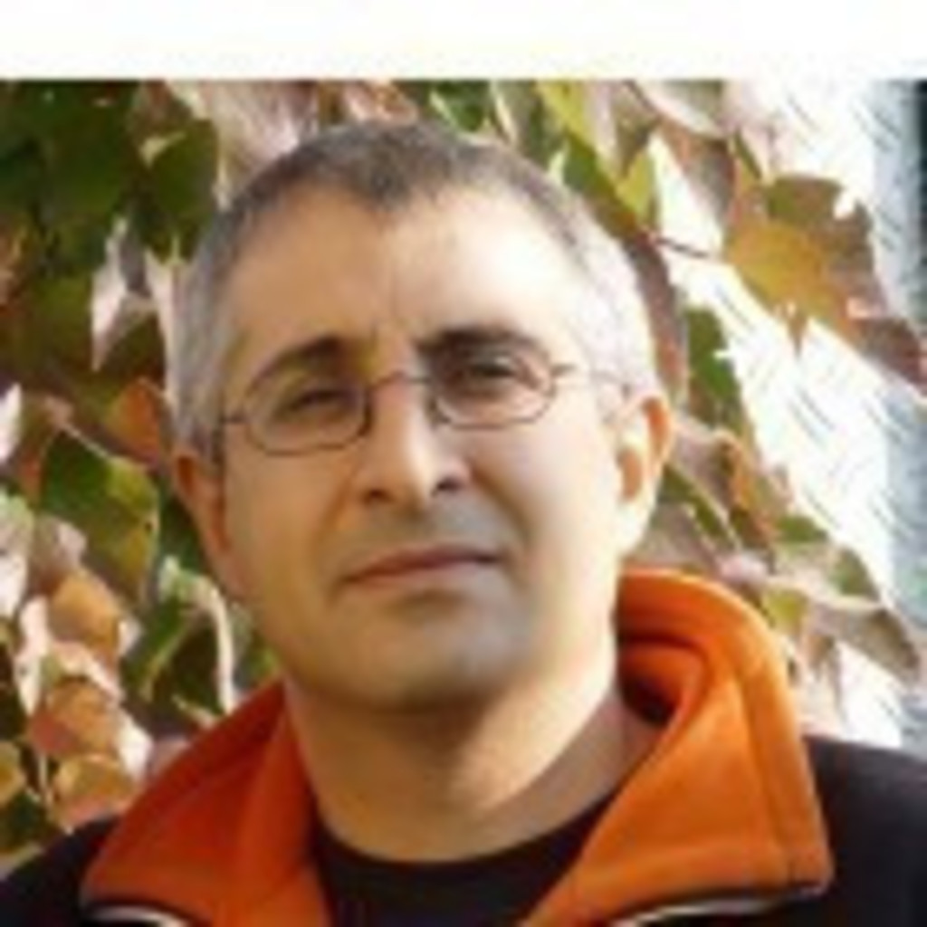 Mostafa Ebrahimi - Lead IT Consultant - msg systems ag, Ismaning | XING