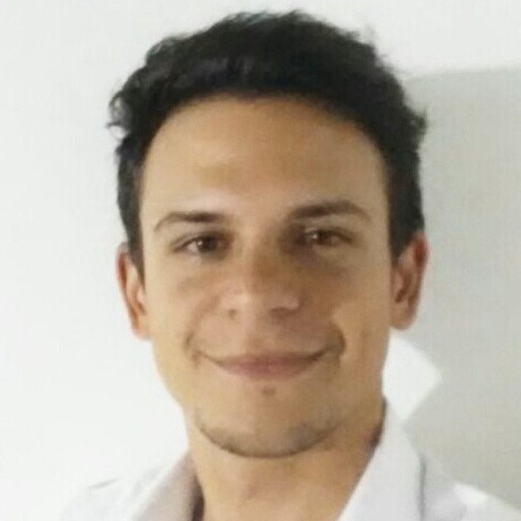 Luis Godoy SAP Developer TSystems do Brasil Ltda. XING