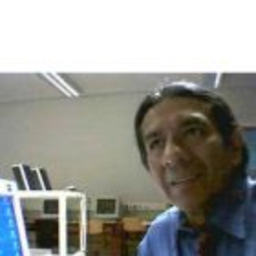 Prof. Manuel Merino