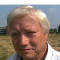 Eric A. Romain