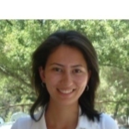 İnci Aylin Özveren