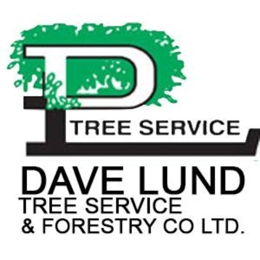 Dave Lund Tree Service Bradford Dave Lund Tree Service and Forestry