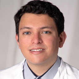 Roberto Diaz Peregrino