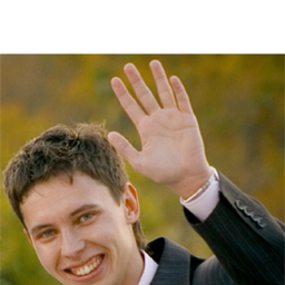 Rodion Nikonov's profile picture