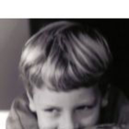 Thijs de Vlieger