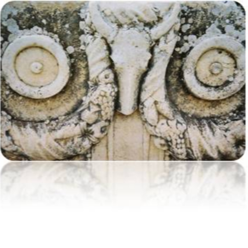 Christian Schreiter Geschäftsführender Gesellschafter Schreiter