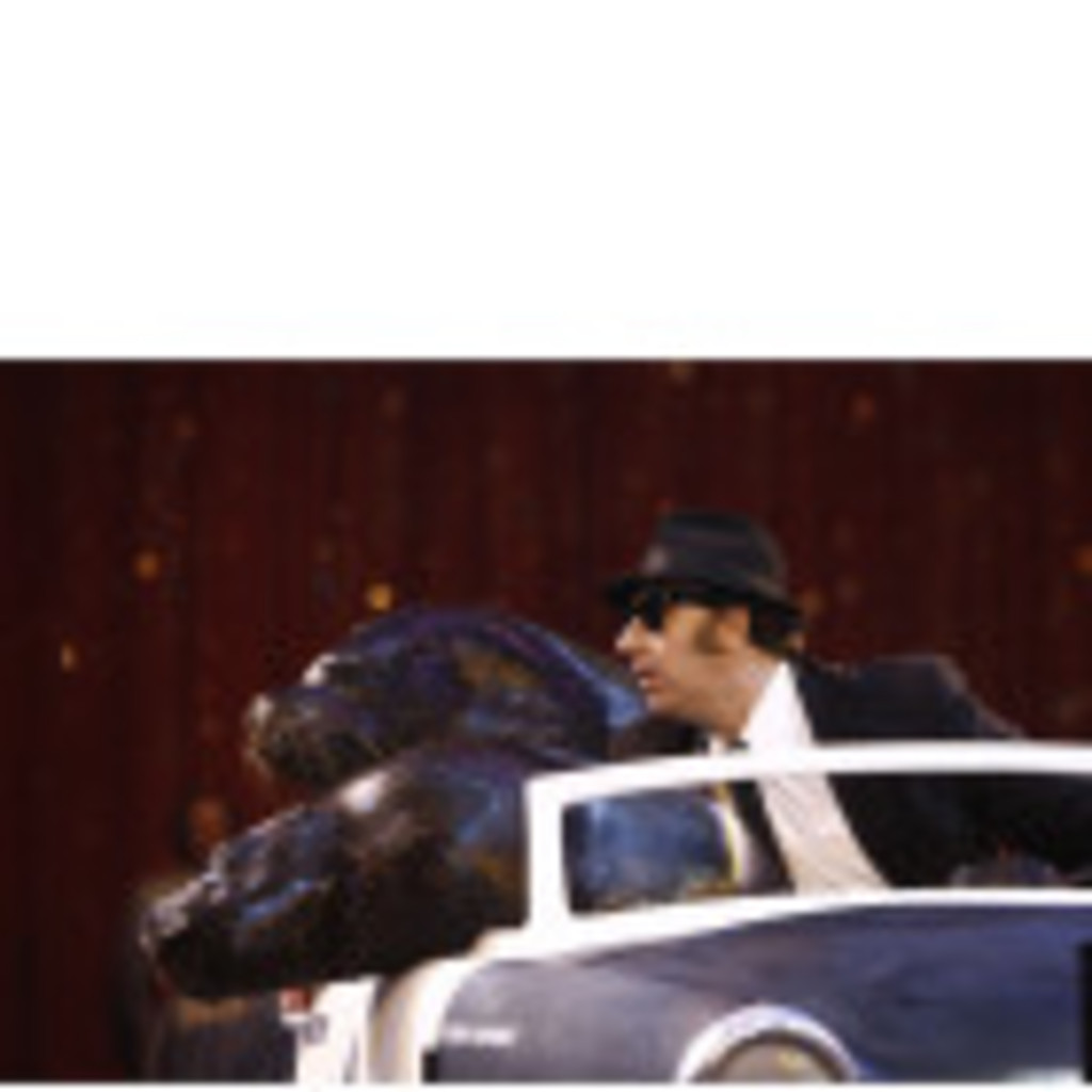 John Burke Trainer / Artist Burkes sealions XING