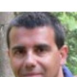 Enrico Dellepiane