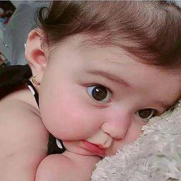 Abdur Rehman