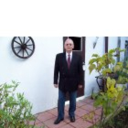 Alexander Palm