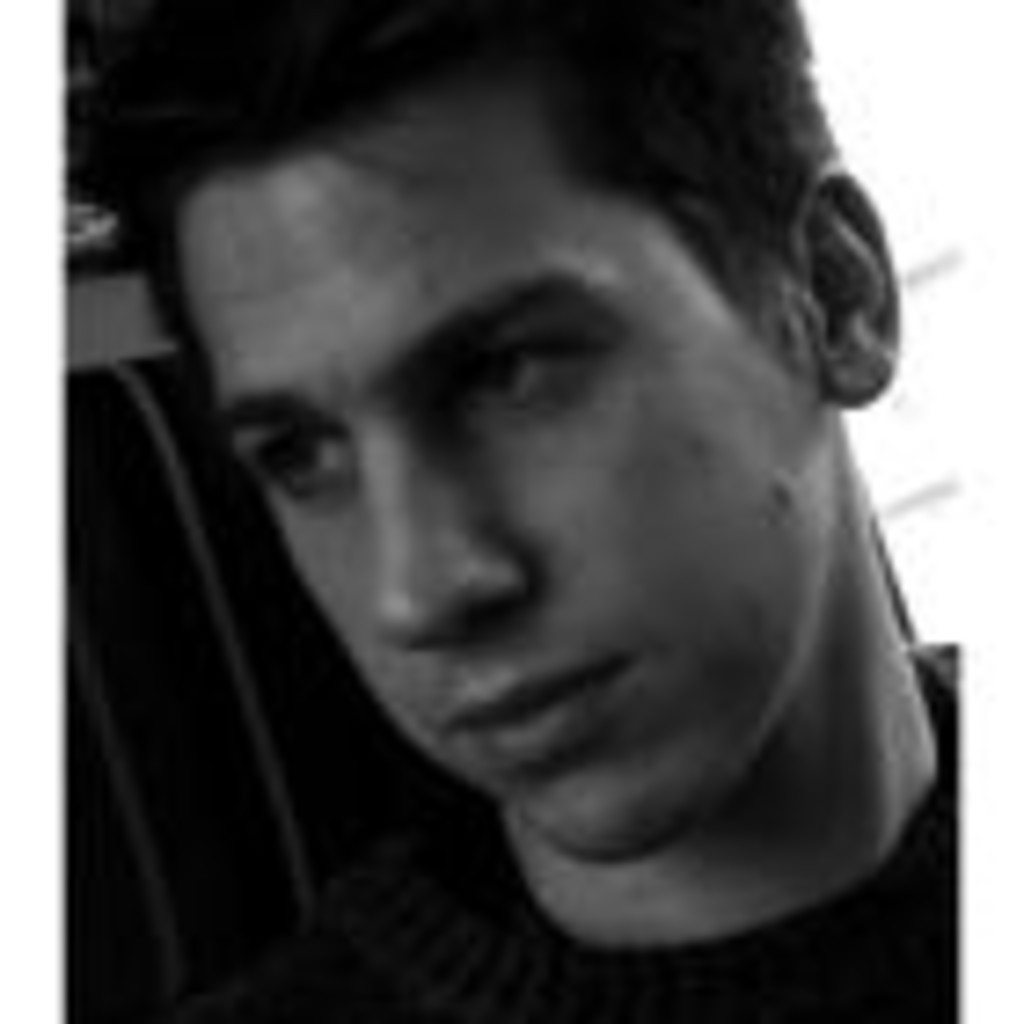 Daniel Baumgartner Wirtschaftsingeniuerswesen Deggendorf XING