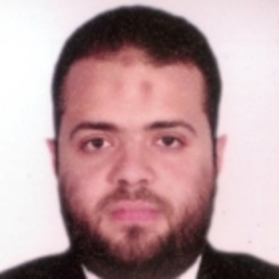 Hesham Shokry's profile picture
