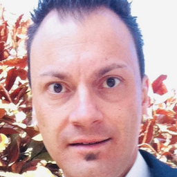 Domenico Palladino