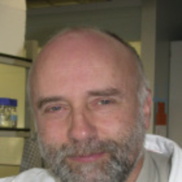 Bruno Gottstein