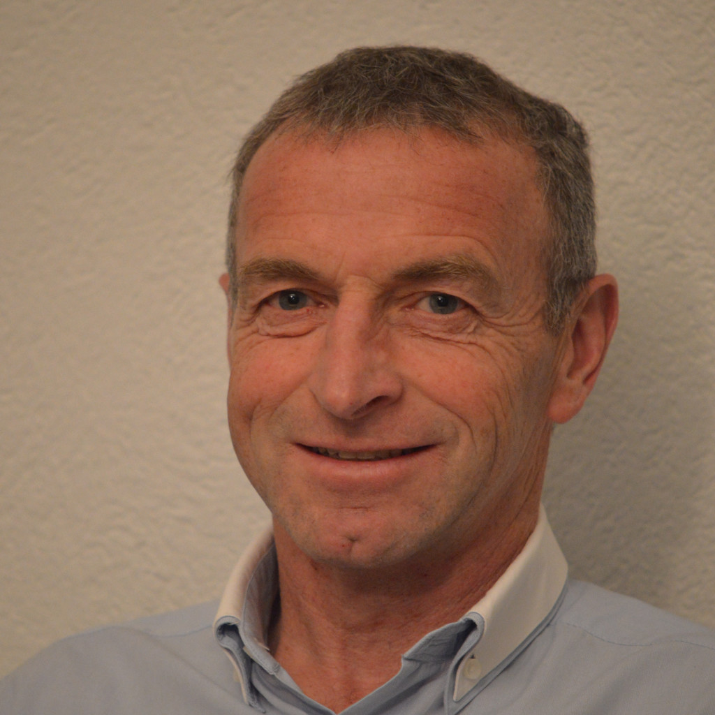 Domenico Rinaldi SAPHR Application Manager SR Technics Group XING