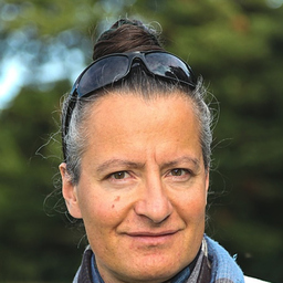 Sarah A. Besic