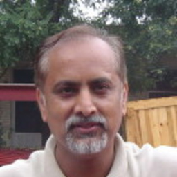 P. Malik