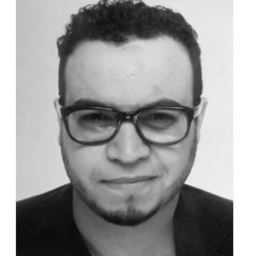 Mohammed El Hajjami's profile picture
