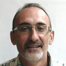 Luis Martinez Lostao
