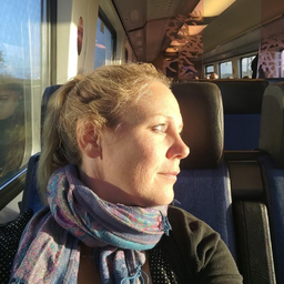 Meryl van Vliet