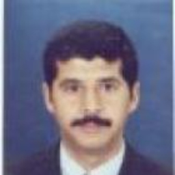 Shehab Raouf Hafez Mohamed