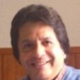 Ramsés Bellodas Landauro