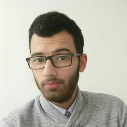 Dr. Tarek AWWAD