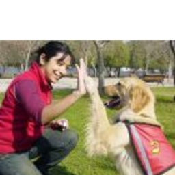 Don Perro Arteixo Residencia y Adiestramiento