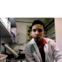 Carlos Daniel Ramos Contreras