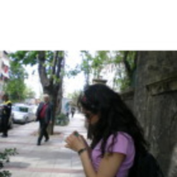 Evin Ayçiçek
