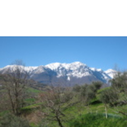 Piera Zechini