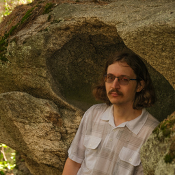 Daniil Aizenshtein's profile picture