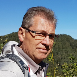 Manfred Pollin