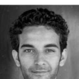 David Domínguez Cobos