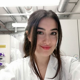 Merve Kuzucu