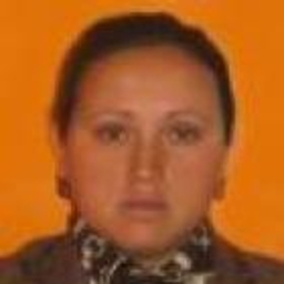pauli ortega