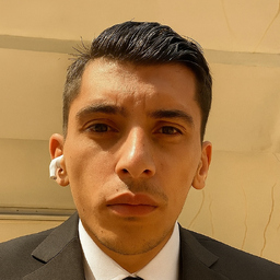 Ahmed Elganzoury