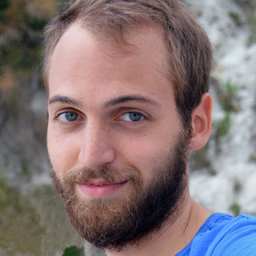 Dr. michele ircani