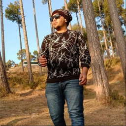 Ali Akbar