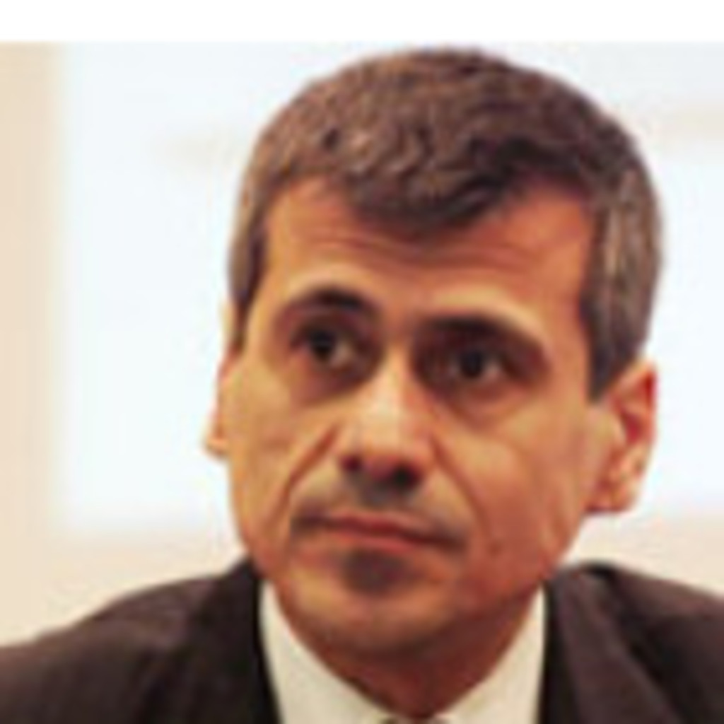 Camillo Franchi Scarselli CEO srl XING