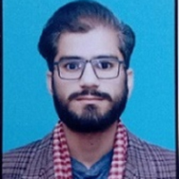 Muhammad Raheel Rafique
