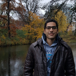 Ahmed Shaheen